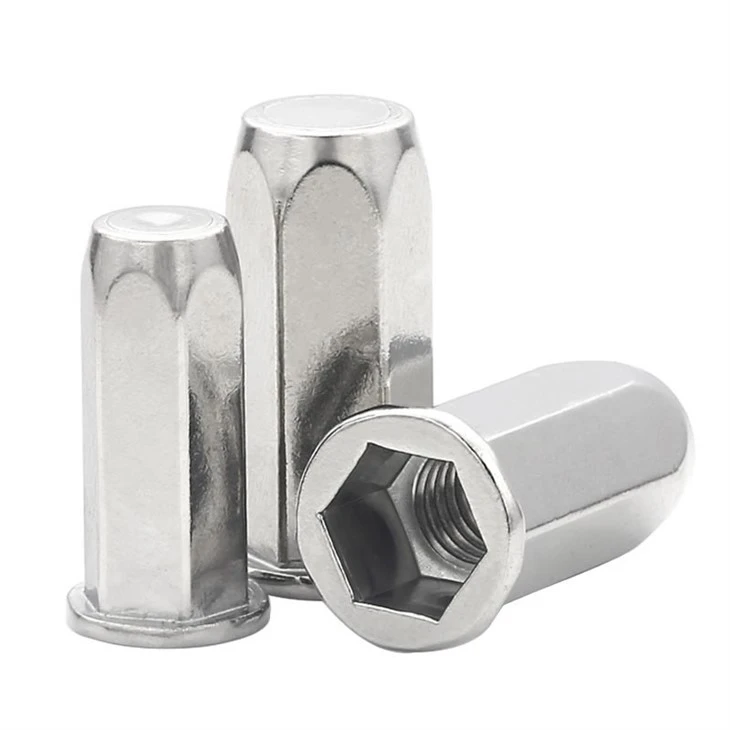 Full Hex Closed Blind Nut SS316 high quality